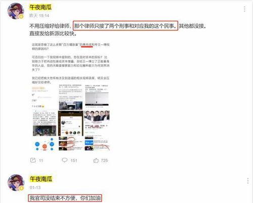 枞阳黑粉爆料事件最新情况,真相与争议交织”  第3张