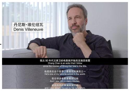 最新茶叶爆料新闻视频 第1张 最新茶叶爆料新闻视频 第1张